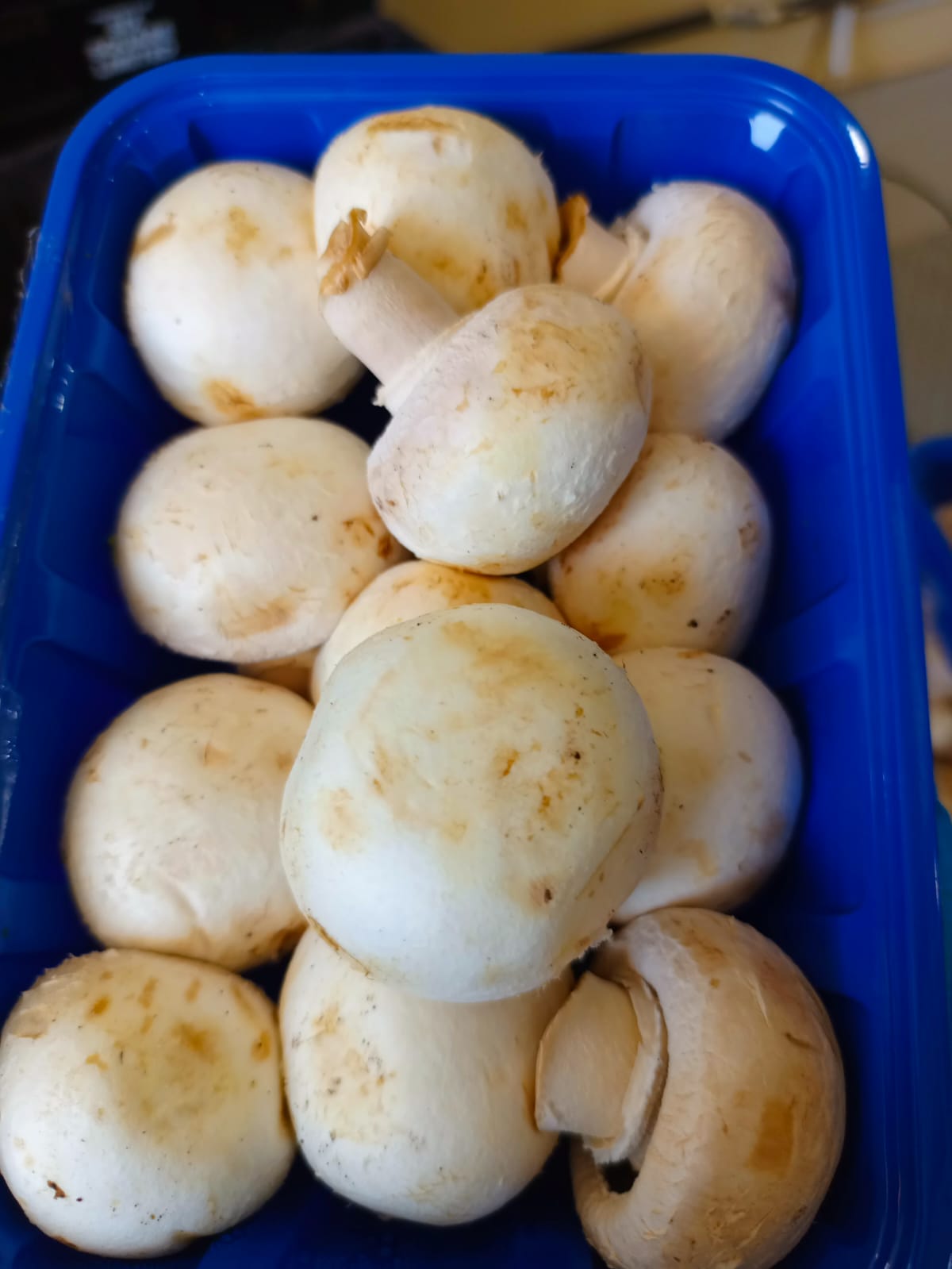 Button Mushrooms