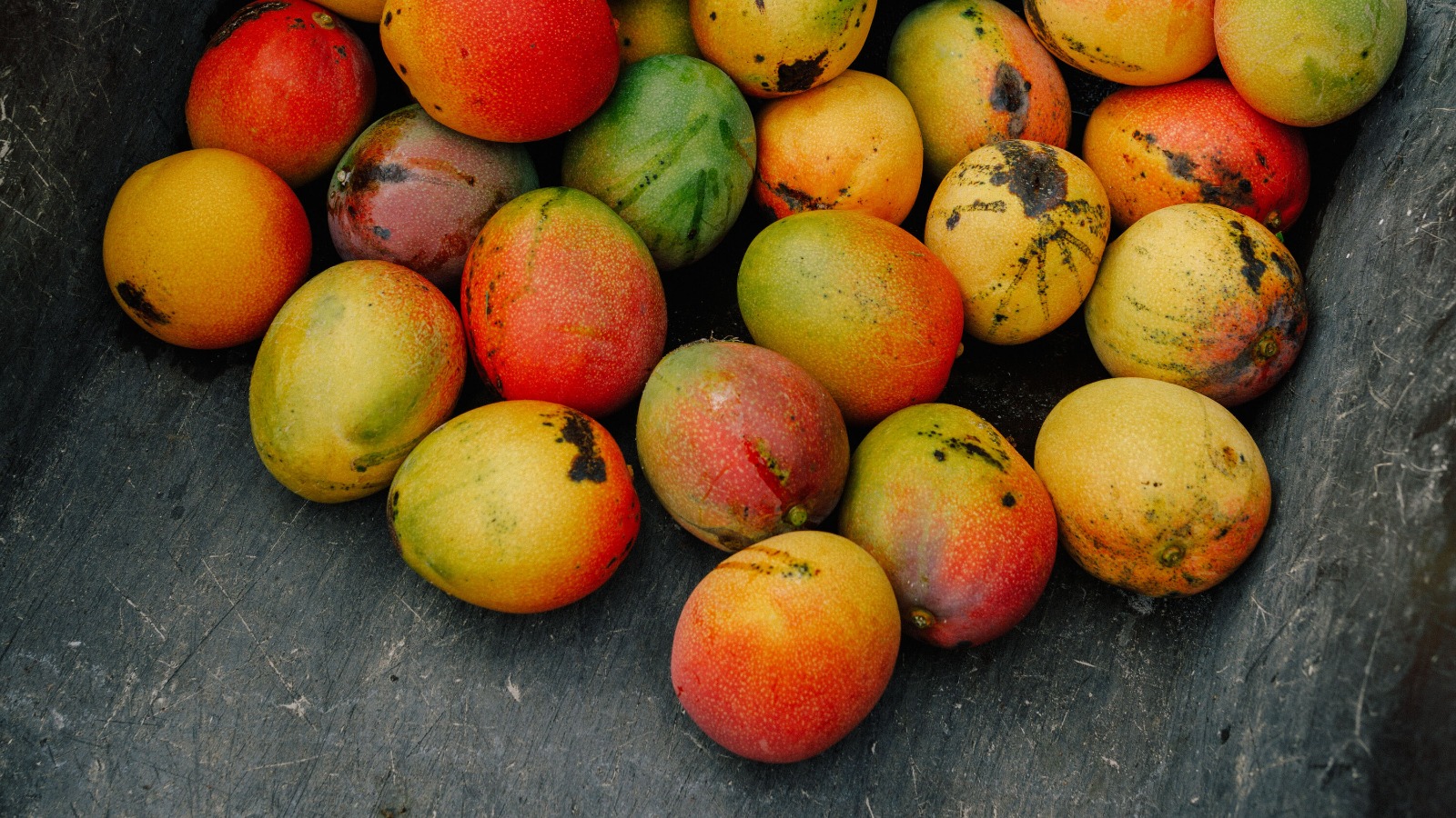 Mango