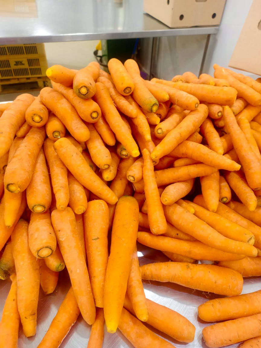 Carrots 3