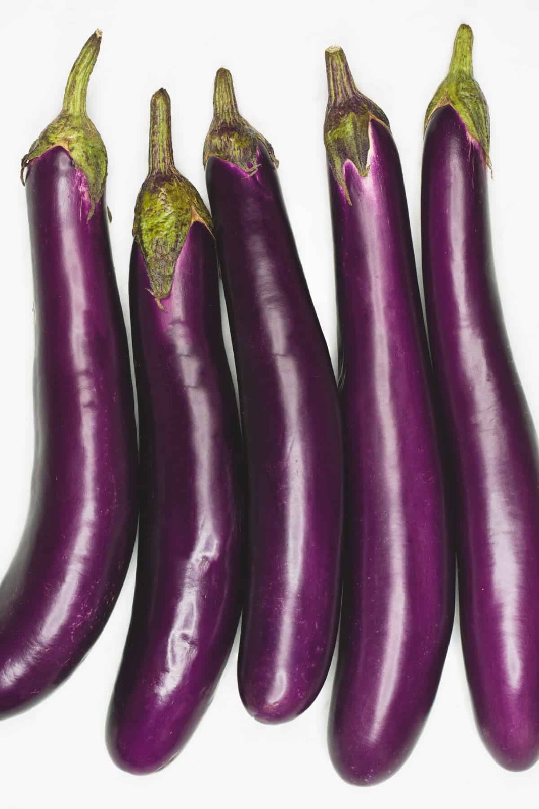 Eggplant (biringanya)
