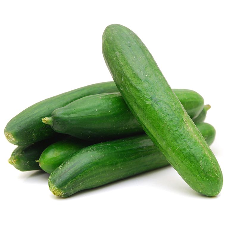 Fresh Cucumber In Nairobi | Cucumbers Kenya 2