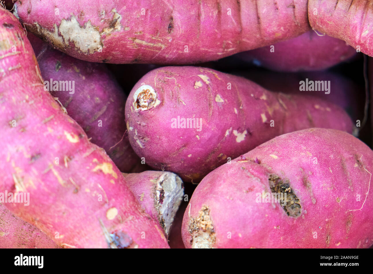 Potatoe Sweet