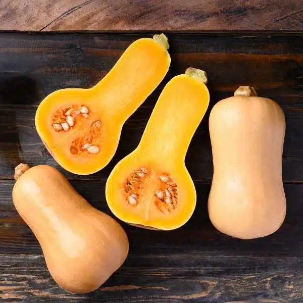 Butternut
